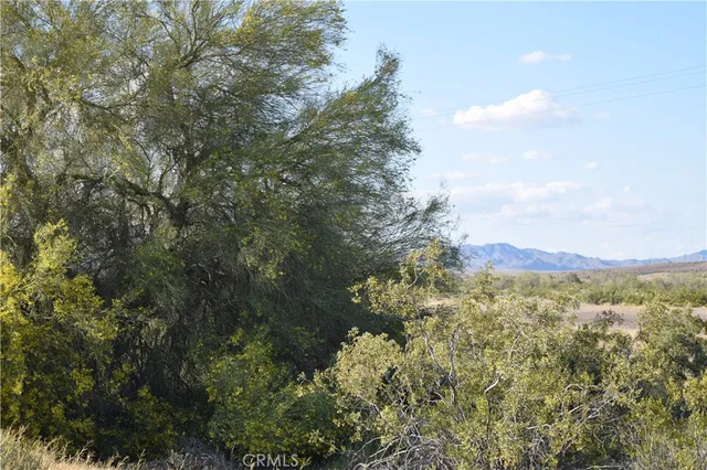a view of a city with lush green forest