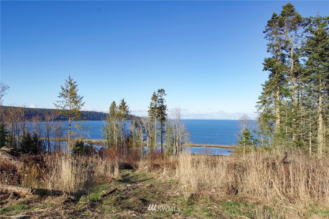 9999 Bachelor Road Sequim, WA 98382 - Photo 16 of 22 Gallery Image 16