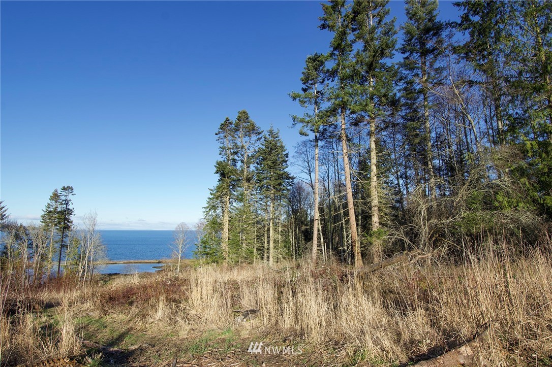 9999 Bachelor Road Sequim, WA 98382 - Photo 19 of 22 Gallery Image 19