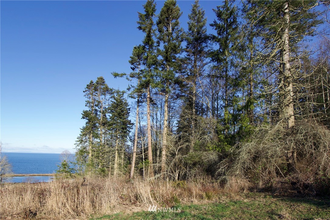 9999 Bachelor Road Sequim, WA 98382 - Photo 20 of 22 Gallery Image 20