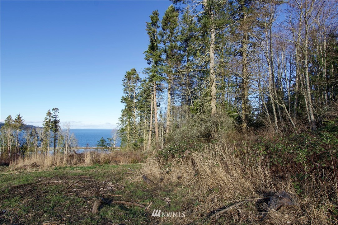 9999 Bachelor Road Sequim, WA 98382 - Photo 21 of 22 Gallery Image 21