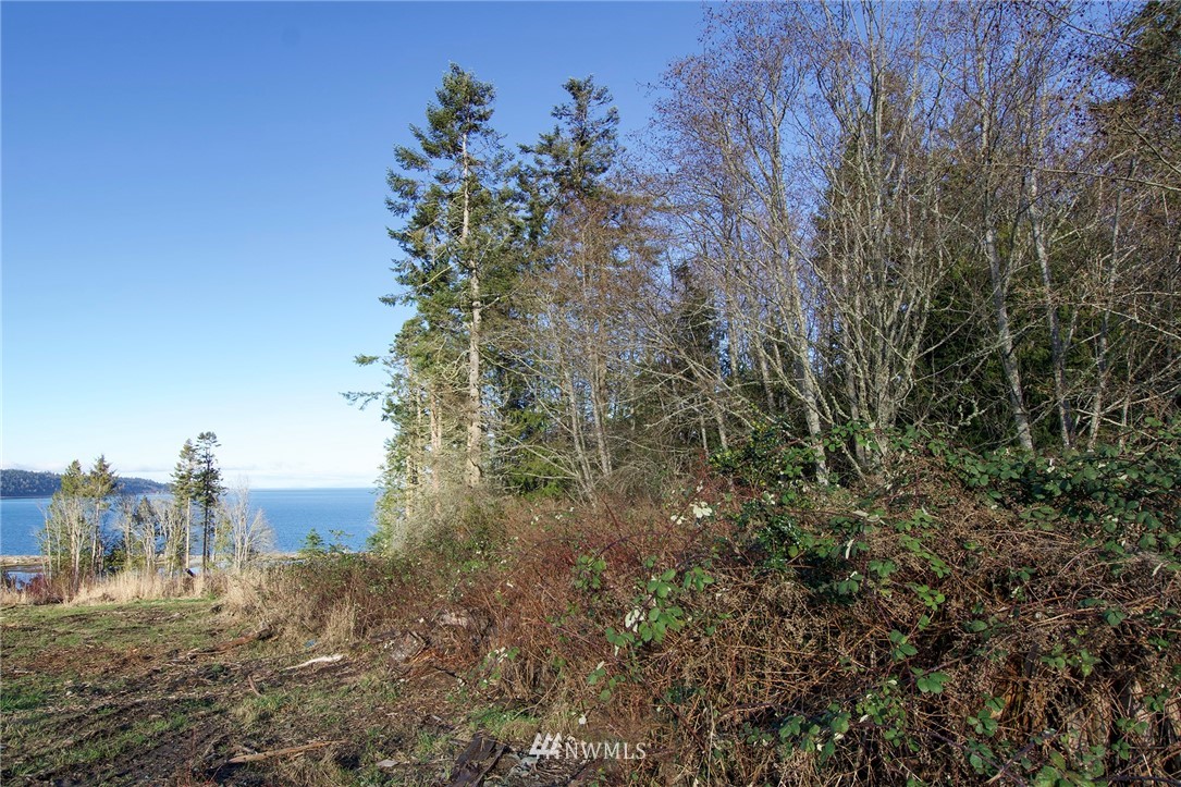 9999 Bachelor Road Sequim, WA 98382 - Photo 22 of 22 Gallery Image 22