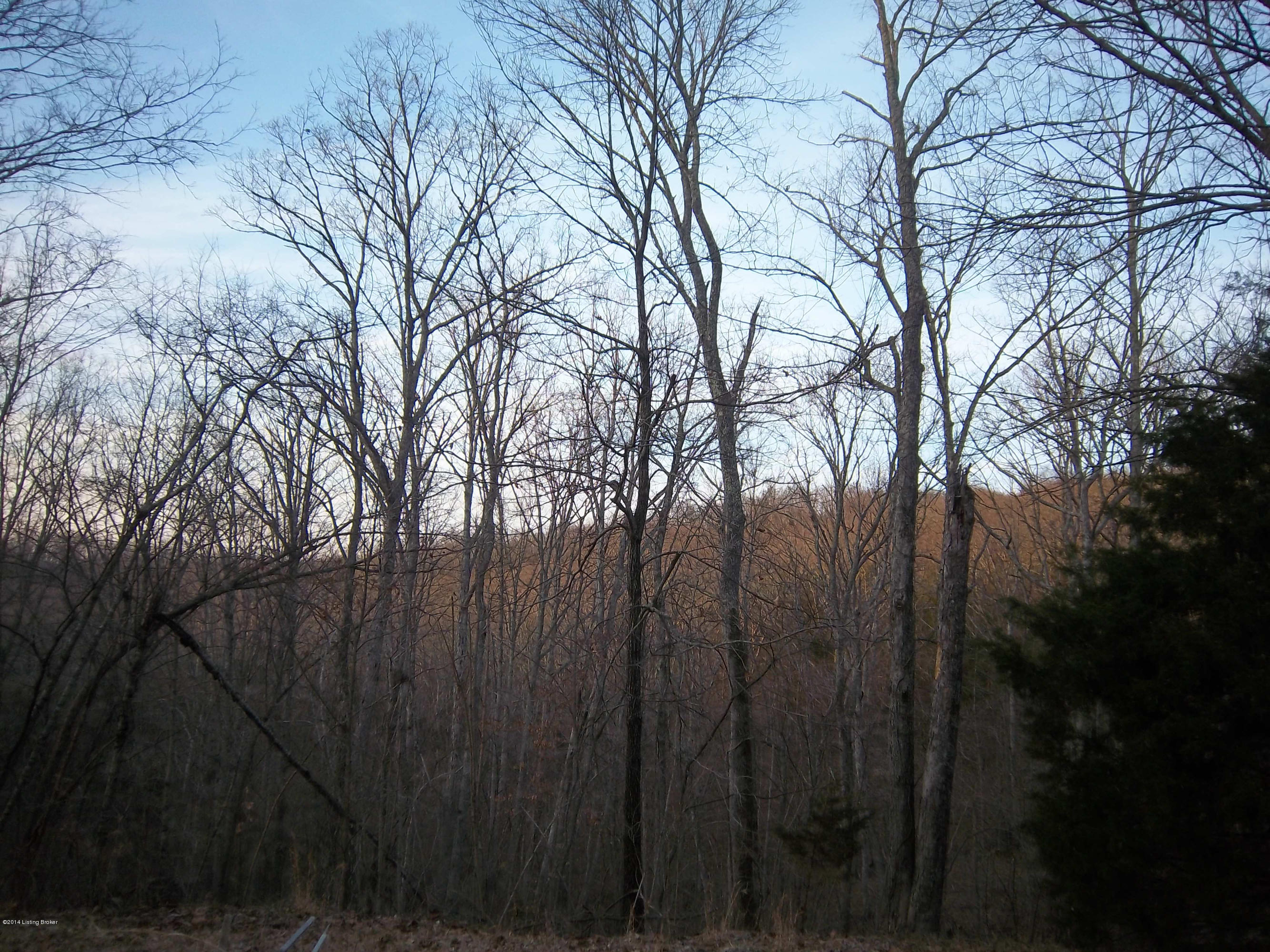 3 Green Valley Ranch Road Battletown, KY 40104 - Photo 24 of 25 green valley woods 4