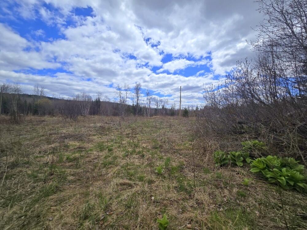 36 Chimney Rock Road Temple, ME 04984 - Photo 11 of 19