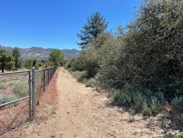 Lot 41 Devils Ladder Road Mountain Center, CA 92561 - Photo 1 of 10 a view of a forest with trees in the background