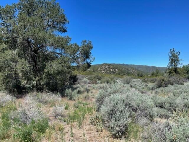 Lot 41 Devils Ladder Road Mountain Center, CA 92561 - Photo 4 of 10 a view of a dry field