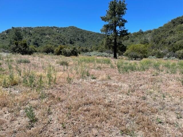 Lot 41 Devils Ladder Road Mountain Center, CA 92561 - Photo 5 of 10 a view of a dry yard