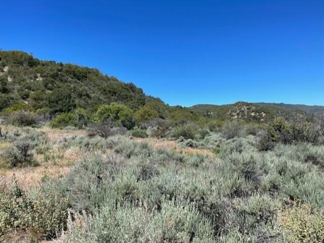 Lot 41 Devils Ladder Road Mountain Center, CA 92561 - Photo 6 of 10 a view of a mountain in the distance in a field