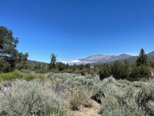 Lot 41 Devils Ladder Road Mountain Center, CA 92561 - Photo 10 of 10 a view of a lush green forest
