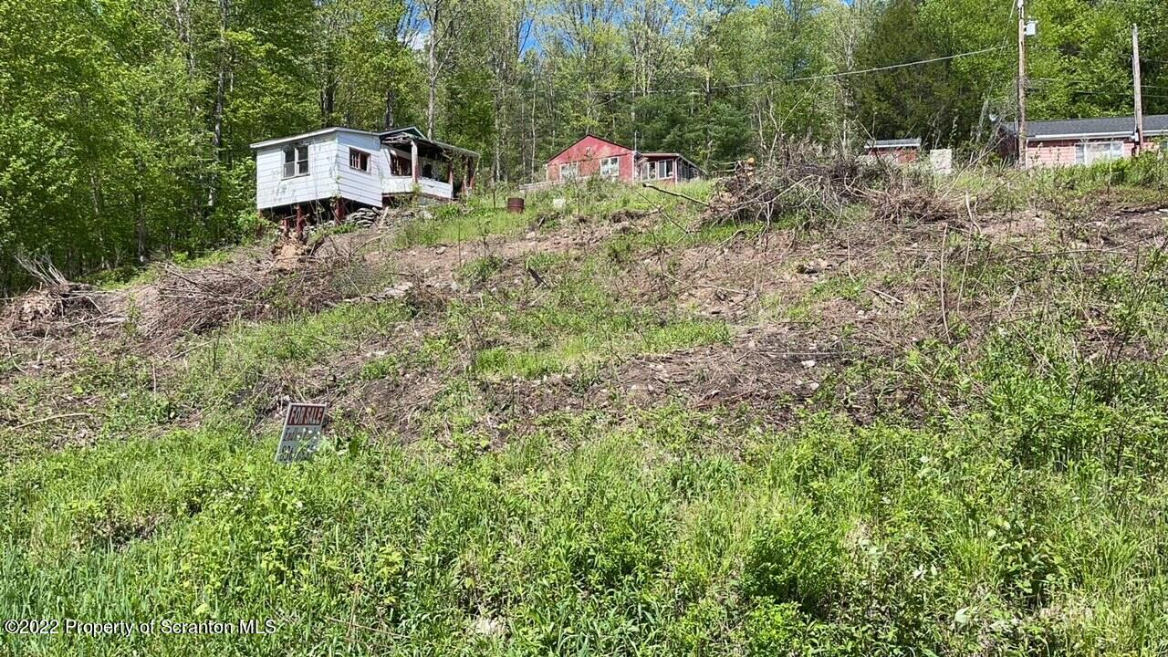 306 Taylor Lane Nicholson, PA 18446 - Photo 1 of 3 Lot