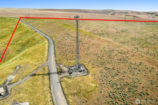 a view of an ocean and beach