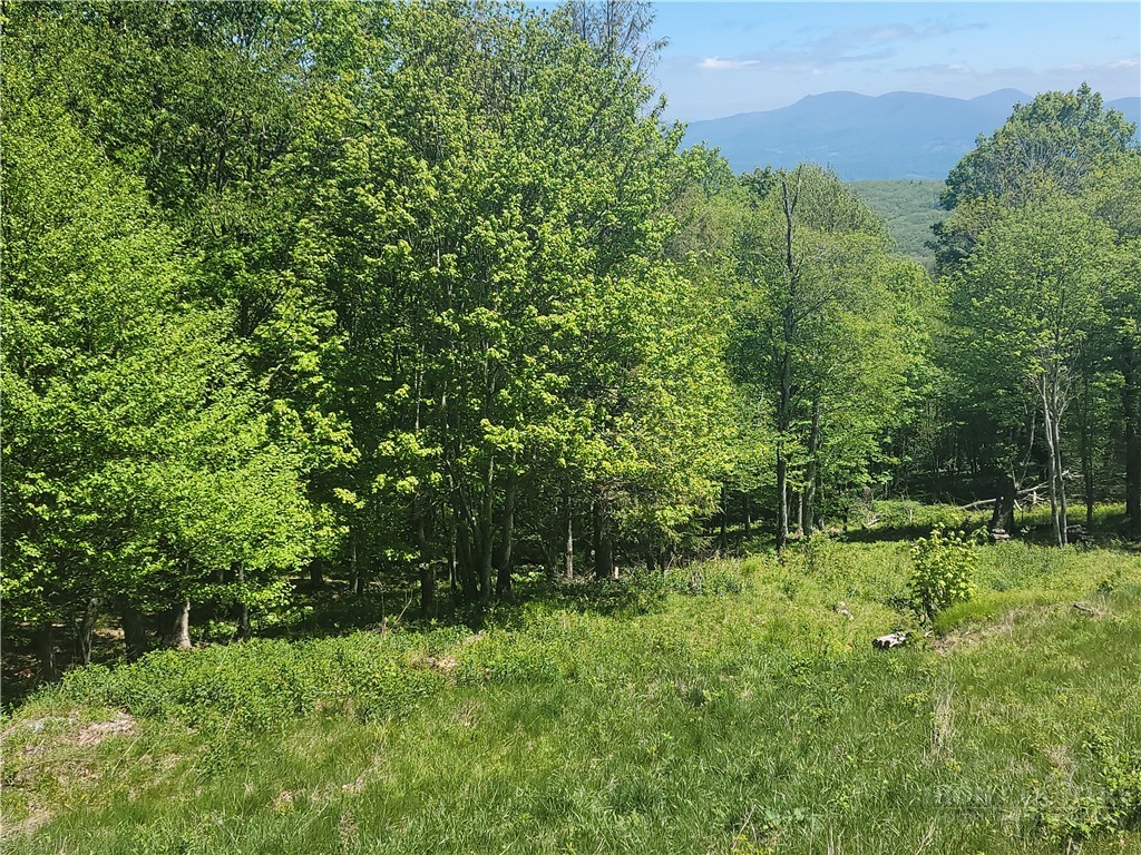 Foxfire Drive Banner Elk, NC 28604 - Photo 3 of 4