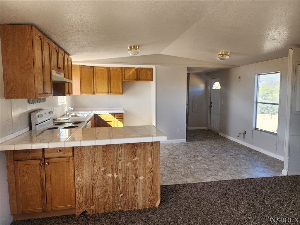 3828 Bagdad Road Golden Valley, AZ 86413 - Photo 4 of 18 a kitchen with a sink cabinets and wooden floor