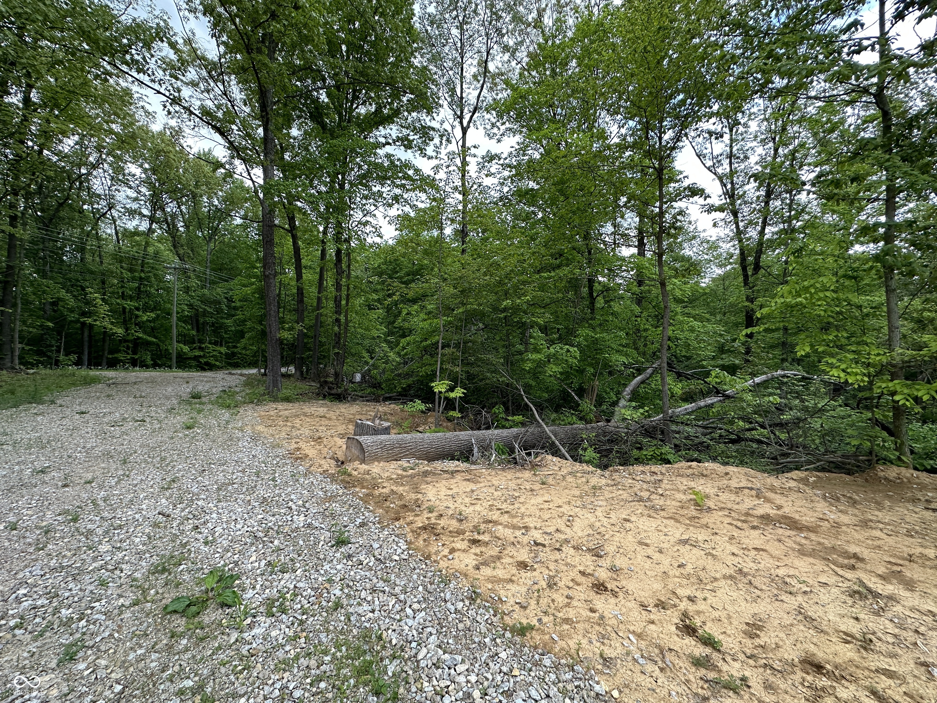 6385 Beech Tree Road Nineveh, IN 46164 - Photo 19 of 26 Gallery Image 19