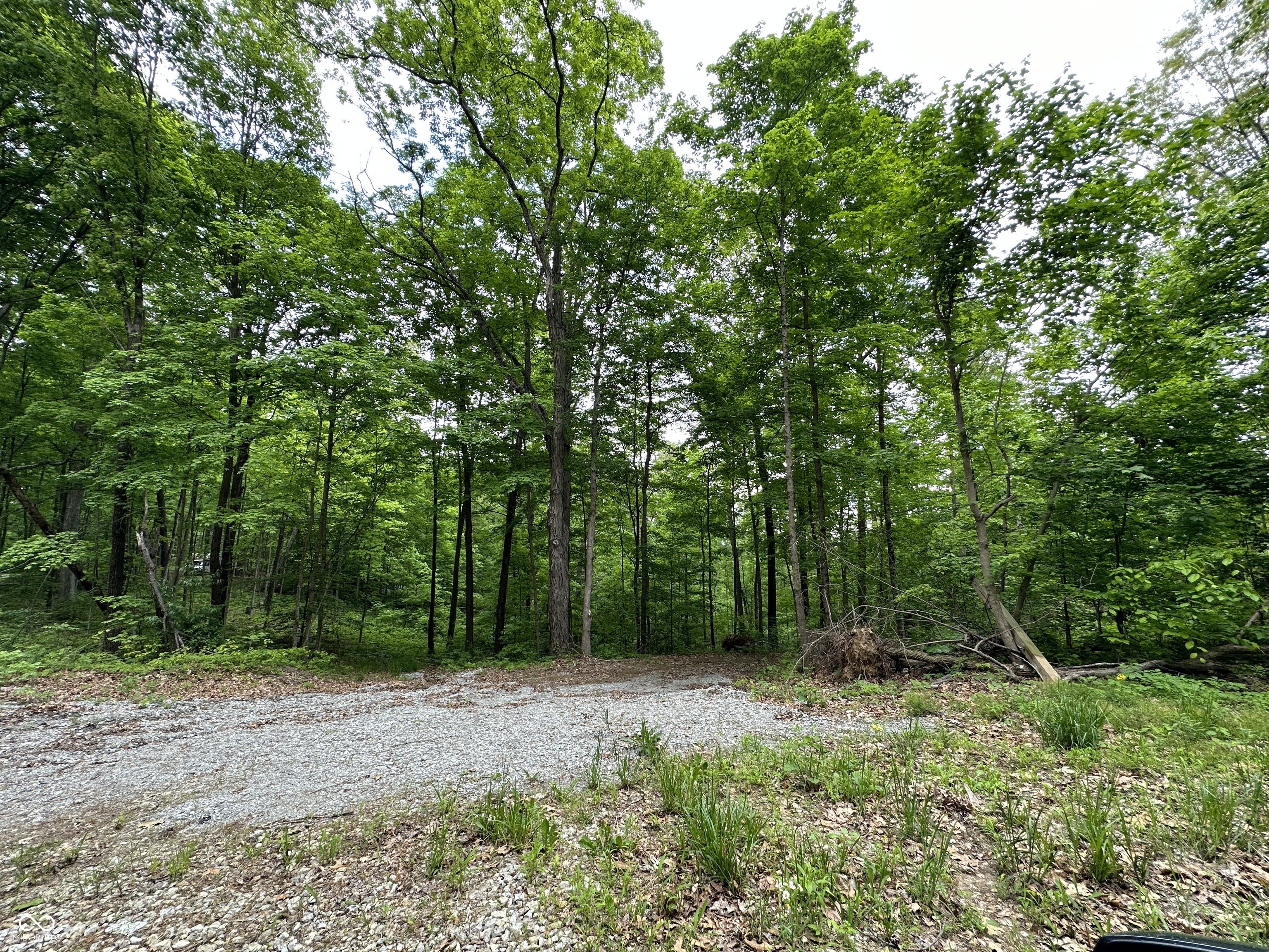 6385 Beech Tree Road Nineveh, IN 46164 - Photo 22 of 26 Gallery Image 22