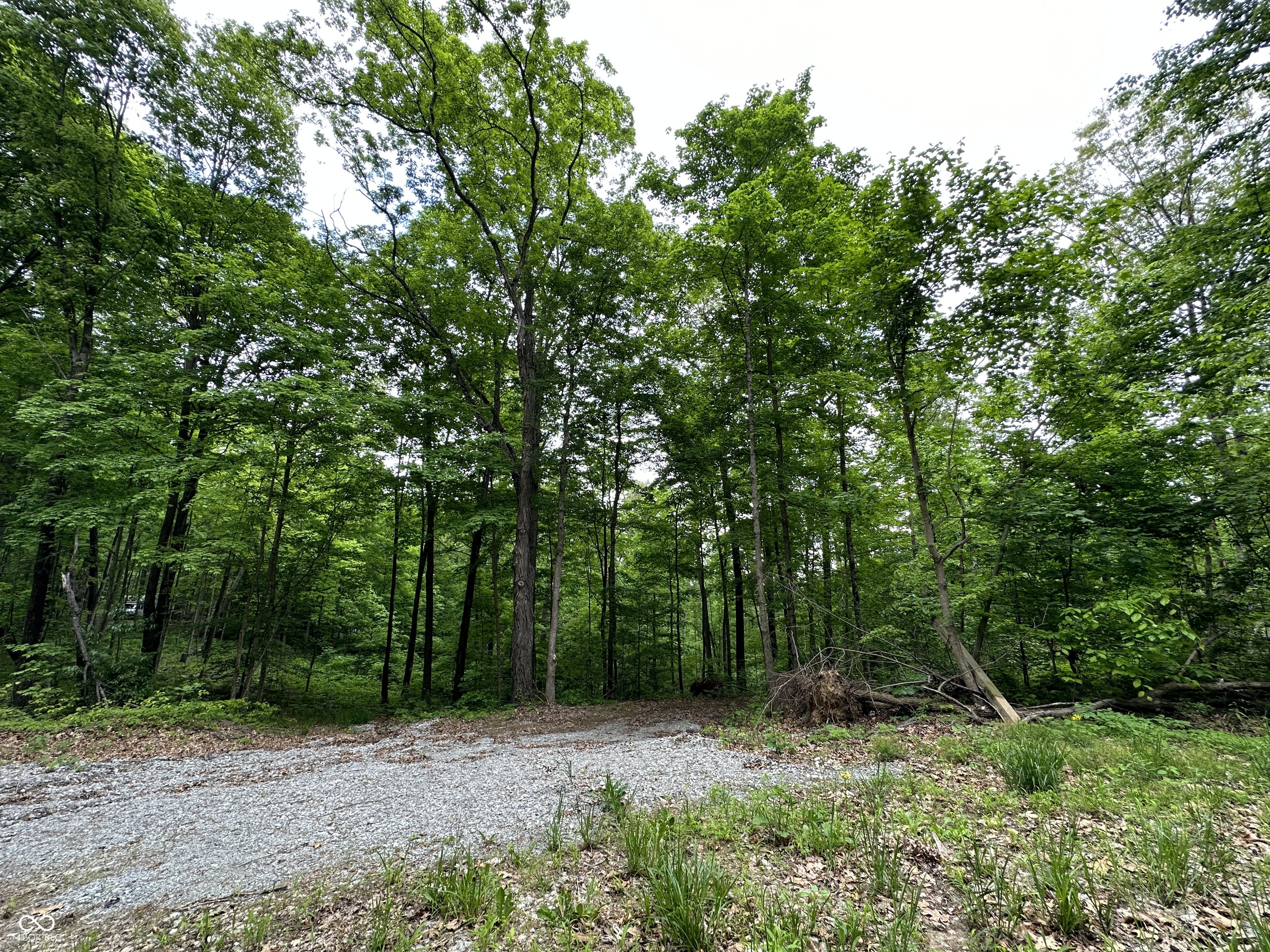 6385 Beech Tree Road Nineveh, IN 46164 - Photo 23 of 26 Gallery Image 23