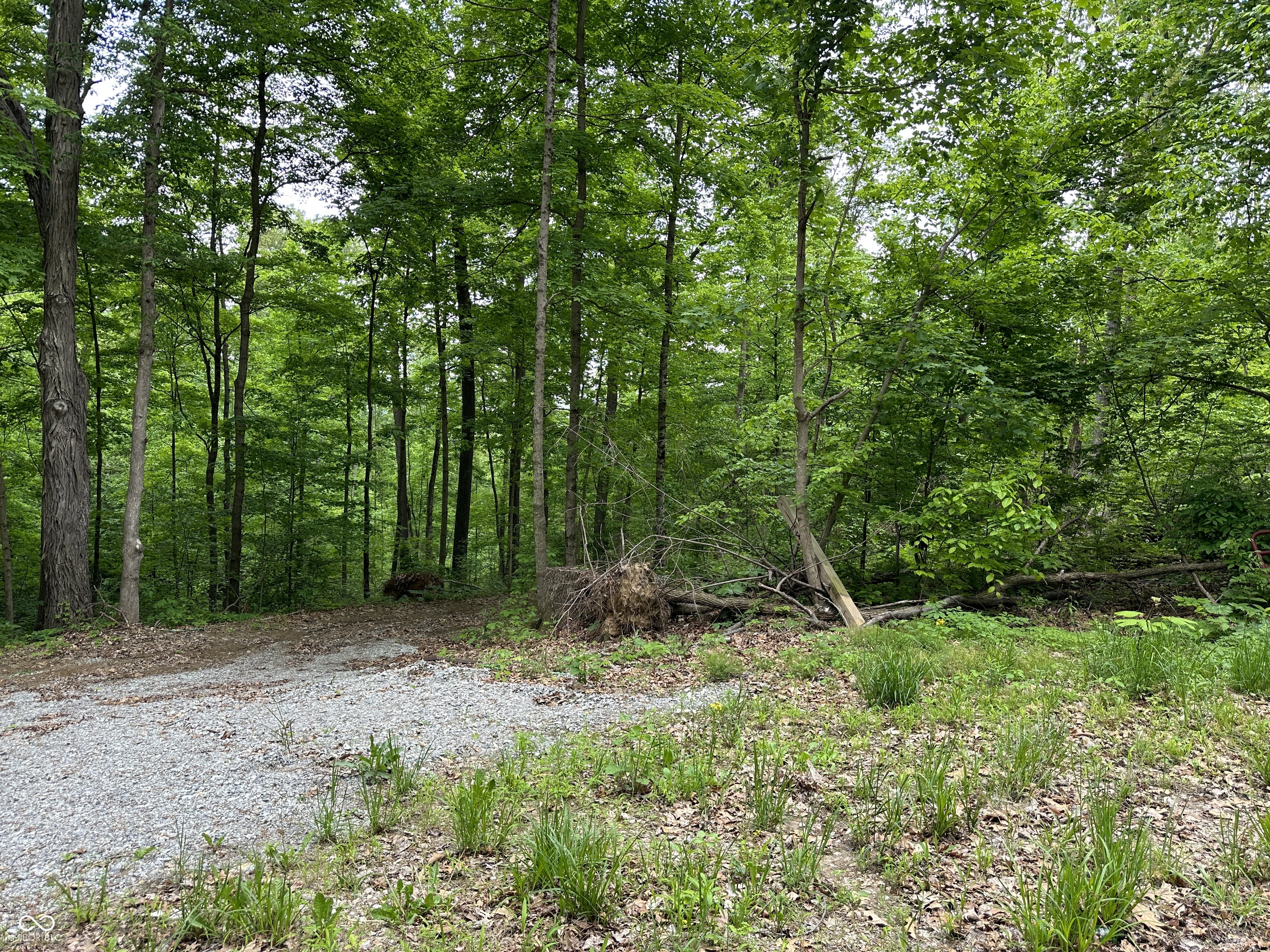 6385 Beech Tree Road Nineveh, IN 46164 - Photo 25 of 26 Gallery Image 25