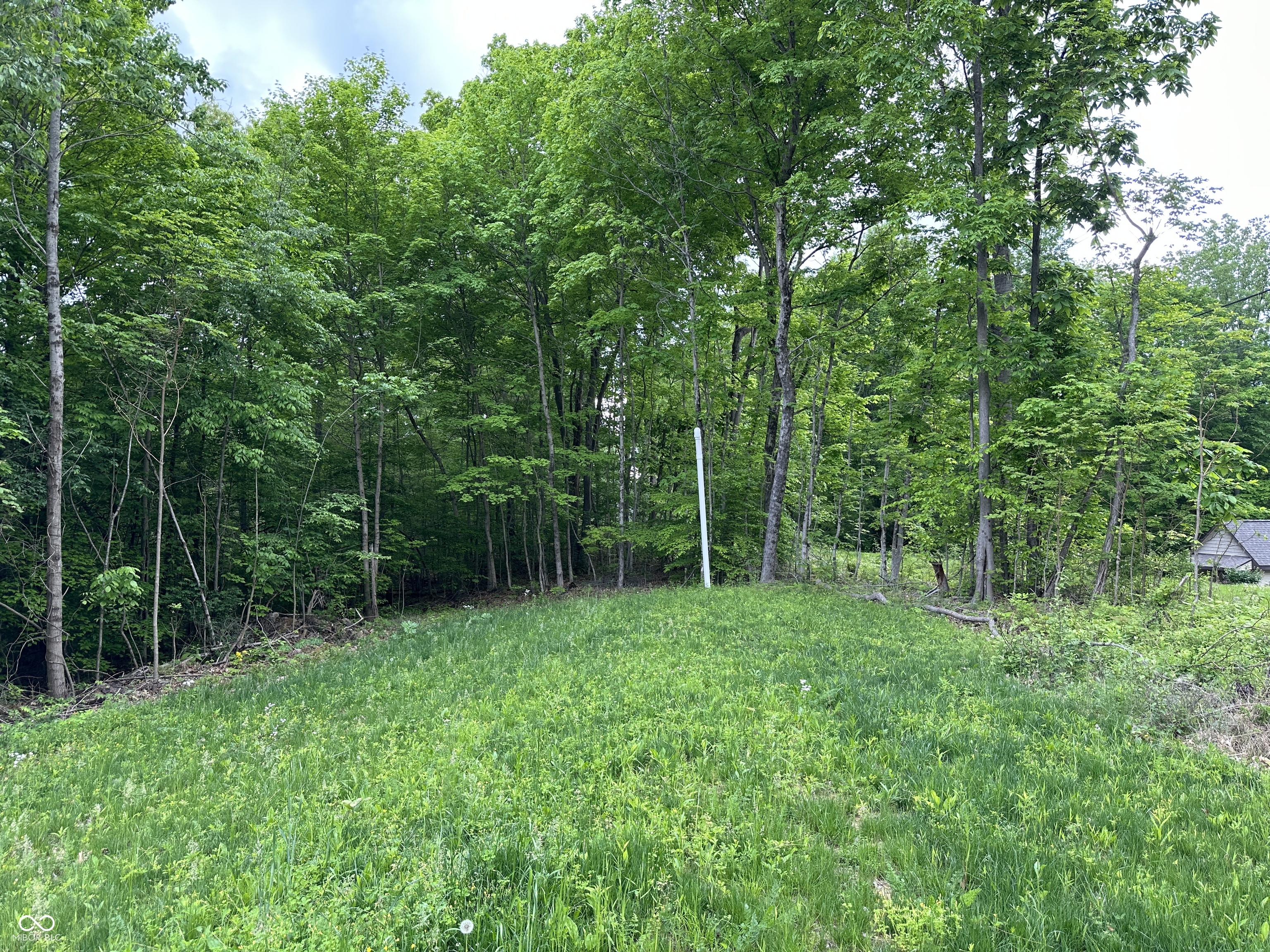 6385 Beech Tree Road Nineveh, IN 46164 - Photo 26 of 26 Gallery Image 26