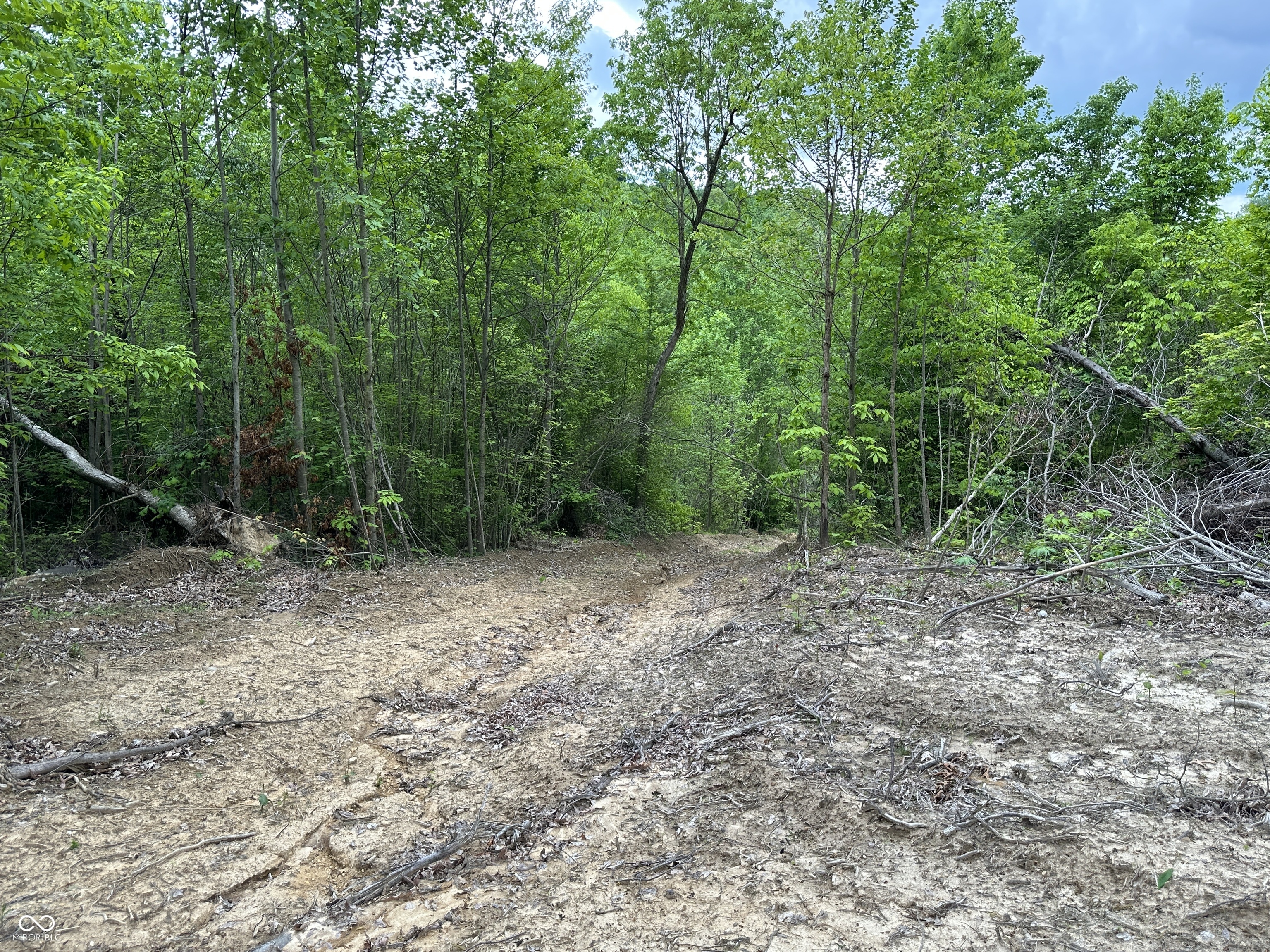 Gallery Image 7