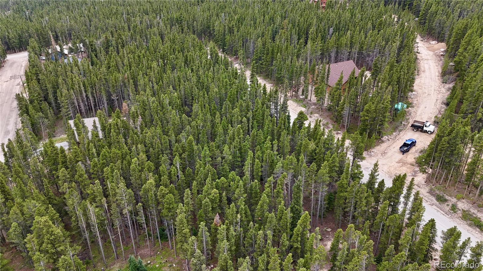 Lot 285 Lot Road Idaho Springs, CO 80452 - Photo 12 of 23 a close up of a plant in a garden