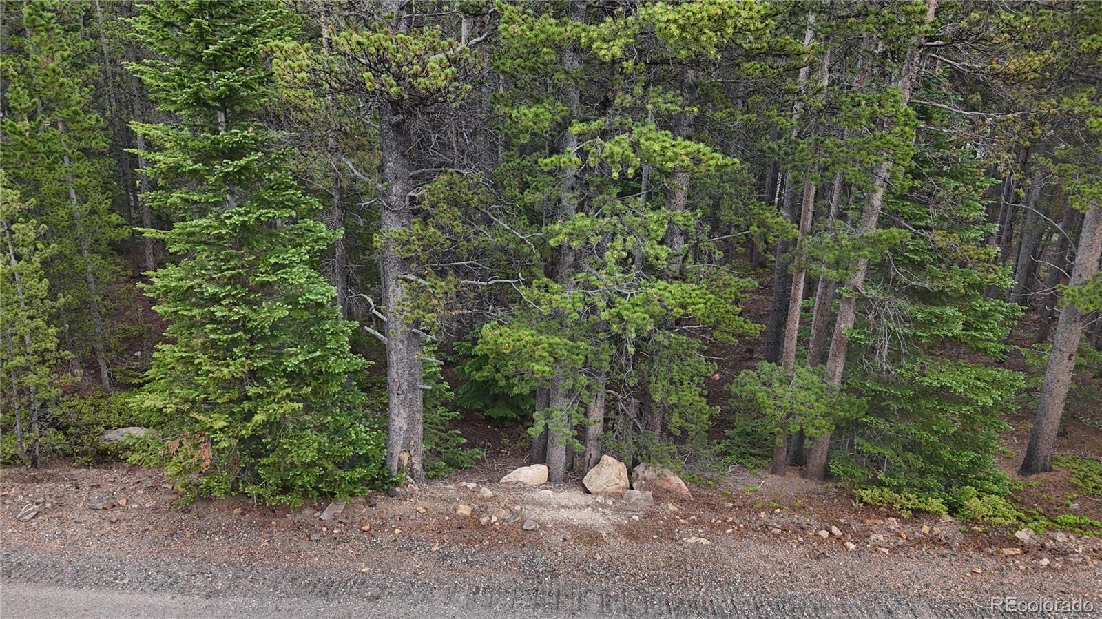 Lot 285 Lot Road Idaho Springs, CO 80452 - Photo 17 of 23 a view of a forest with trees in the background