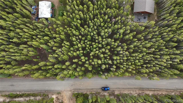 a view of a forest with trees
