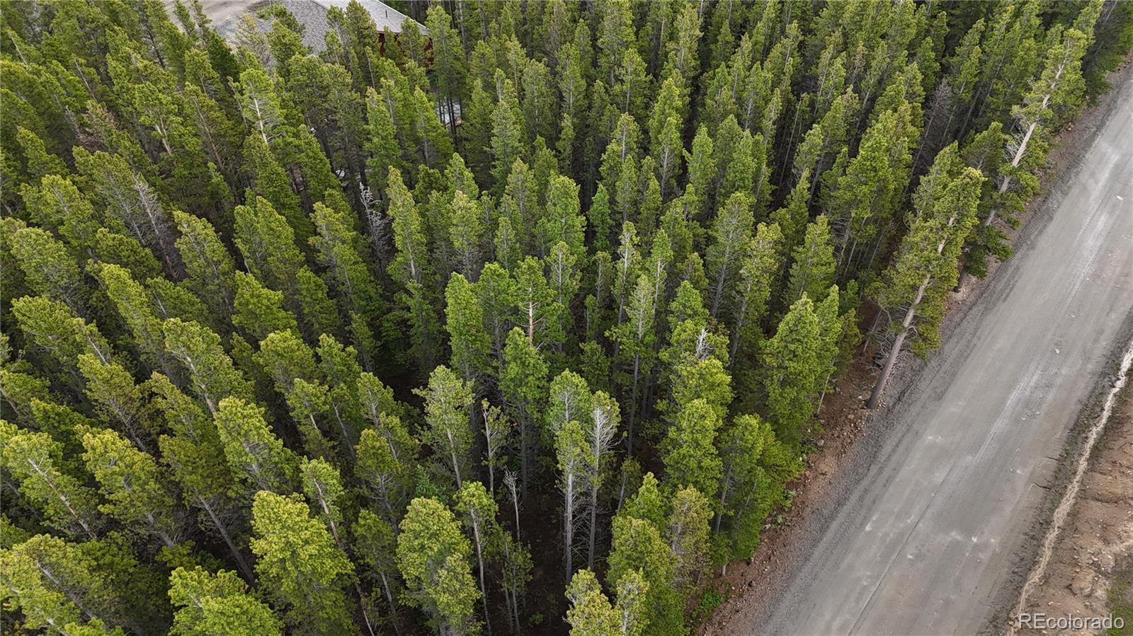 Lot 285 Lot Road Idaho Springs, CO 80452 - Photo 21 of 23 a view of a yard with plants