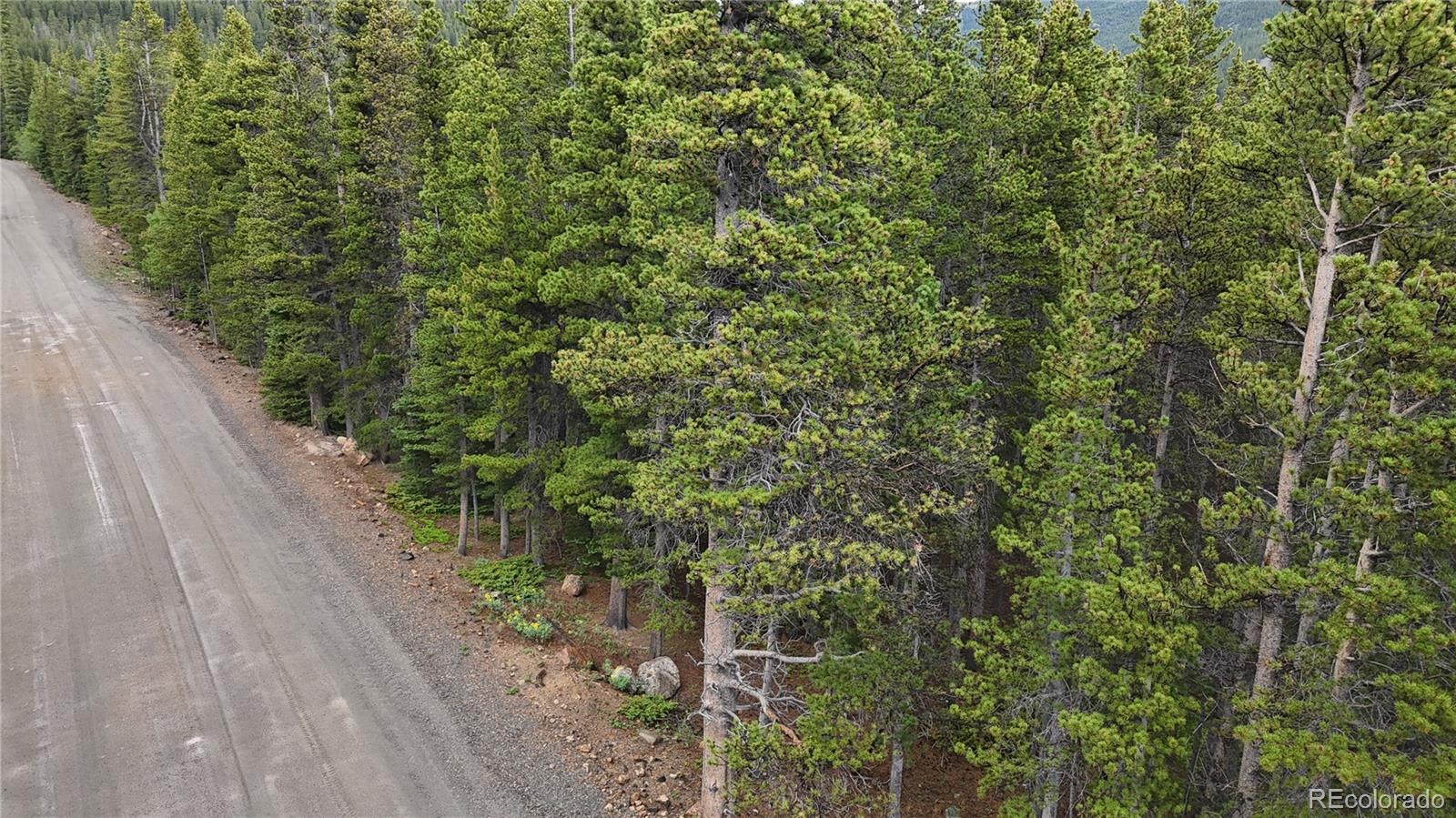 Lot 285 Lot Road Idaho Springs, CO 80452 - Photo 23 of 23 a view of a yard with plants and wooden fence