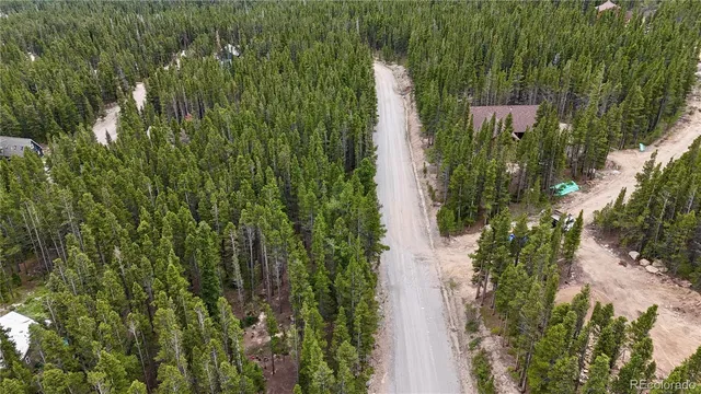 a close up of a plant in a garden