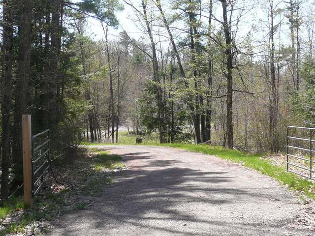 Lot 4 Scenic Ridge Trail Minocqua, WI 54548 - Photo 2 of 4 Gallery Image 2