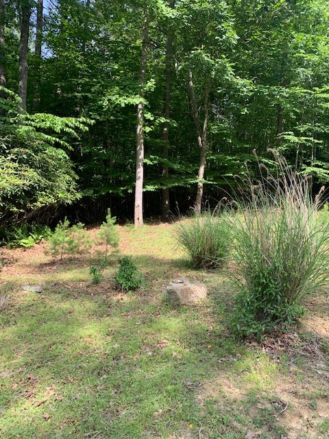 26 Ridge Line Trail, Unit 26 Independence, VA 24348 - Photo 9 of 11 Gallery Image 9