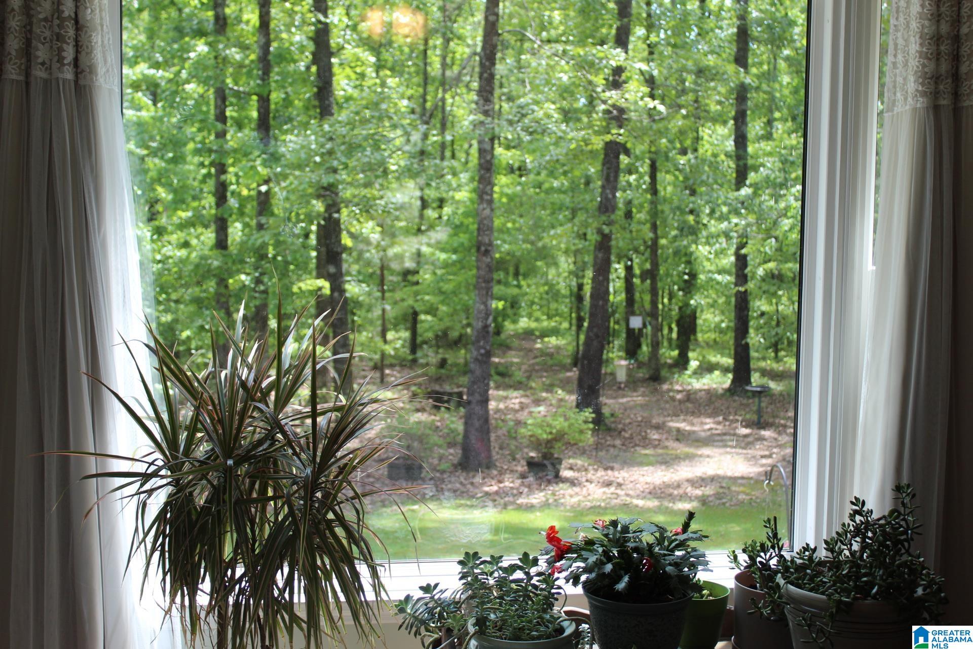 270 Duke School Road Wellington, AL 36279 - Photo 33 of 80