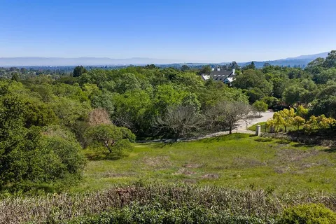 a view of a big yard with plants and large trees
