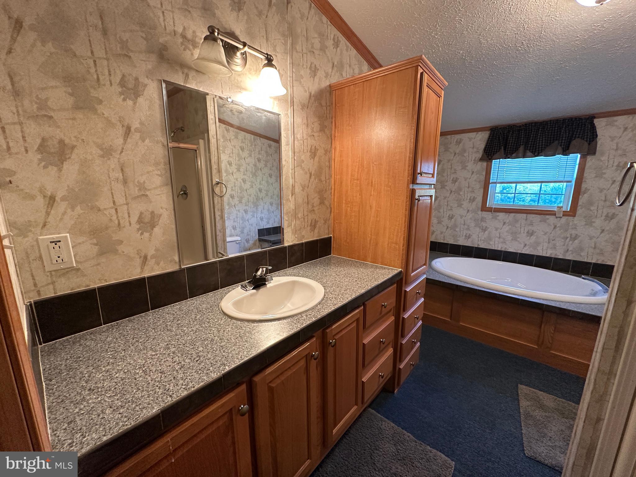 4391 Cito Road McConnellsburg, PA 17233 - Photo 54 of 67 a bathroom with a granite countertop sink and a mirror
