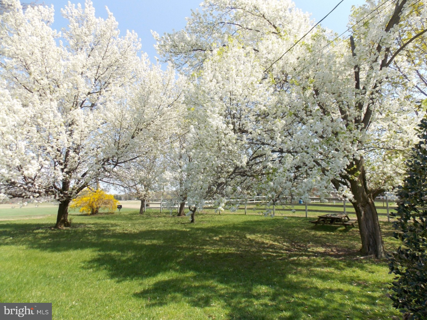 27274 Mt Pleasant Road Columbus, NJ 08022 - Photo 24 of 25 a view of a park with large trees