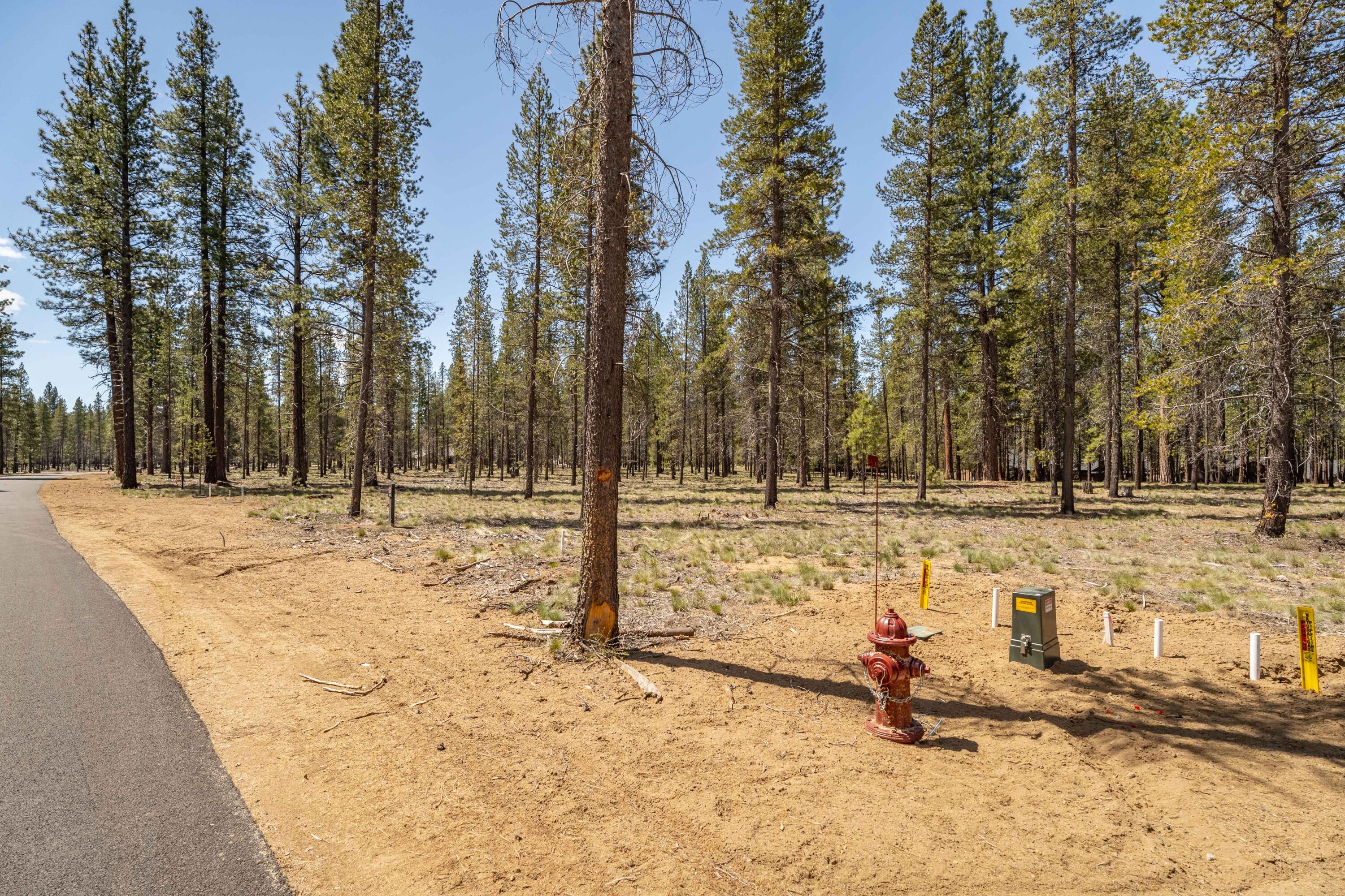 Preservation Loop Bend, Unit 464 Bend, OR 97707 - Photo 6 of 21 DSC02044-HDR