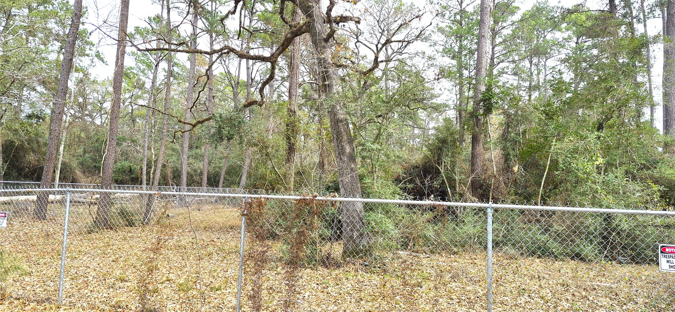 7845 Carl Spring Spring, TX 77373 - Photo 2 of 13 a view of outdoor space with deck and trees