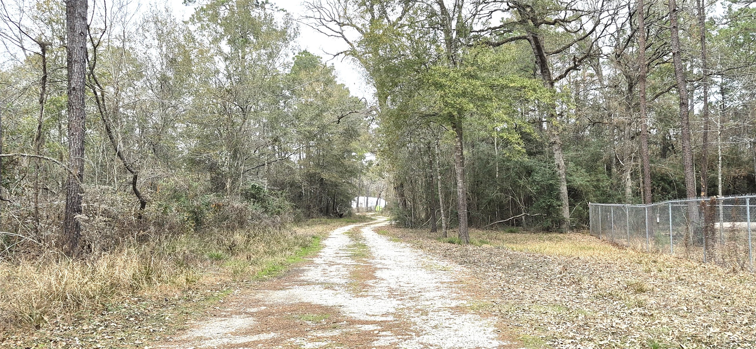 7845 Carl Spring Spring, TX 77373 - Photo 10 of 13 a view of backyard with wooden fence and trees