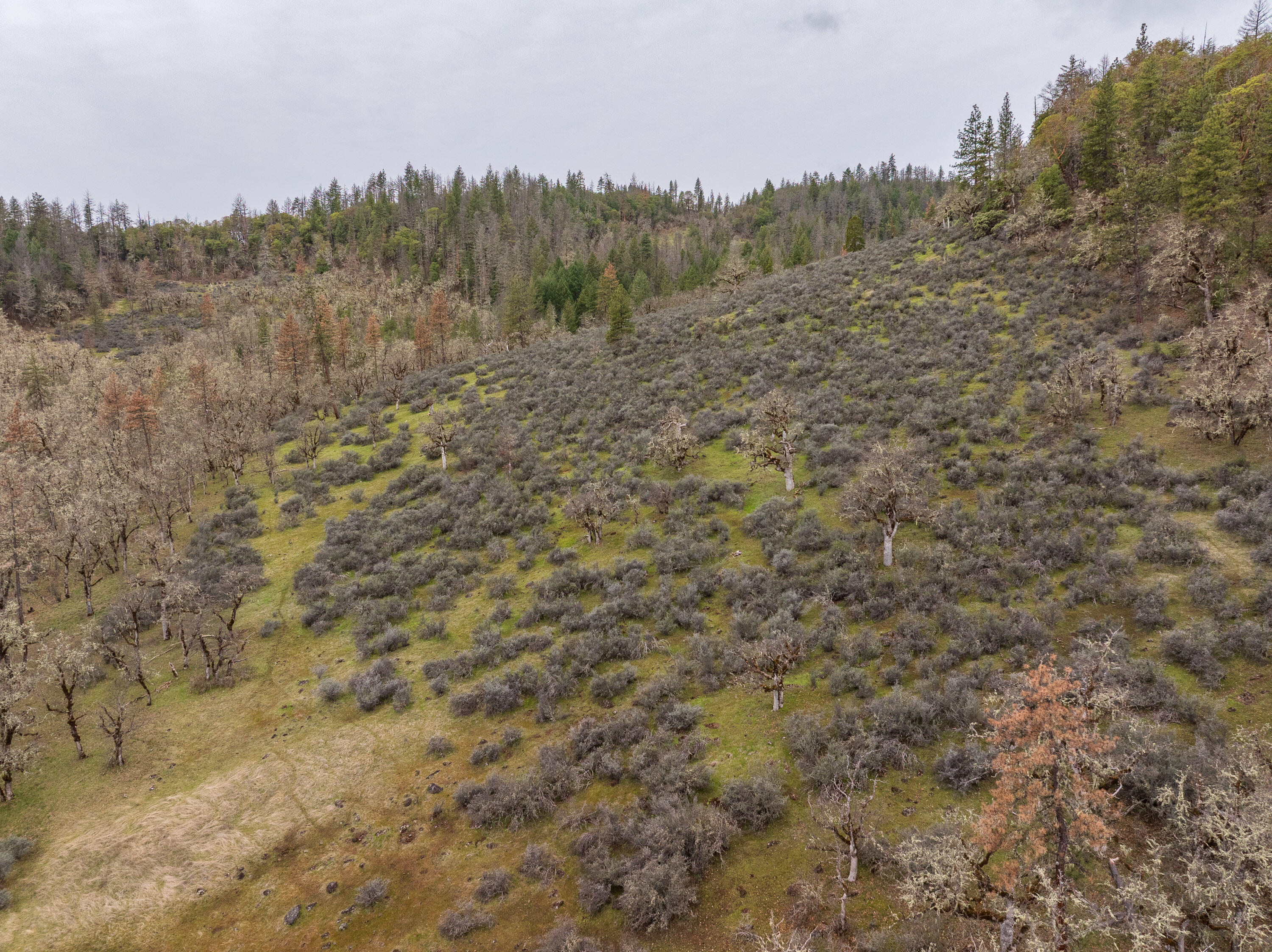 2527 Crowfoot Road Eagle Point, OR 97524 - Photo 14 of 24 2527CrowfootRd-013