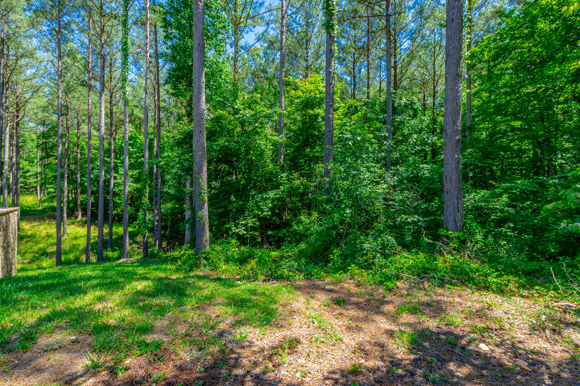 0 Split Rail Way, Unit LOT 1121 Guild, TN 37340 - Photo 6 of 103 River Gorge Lot 1121 HD-13
