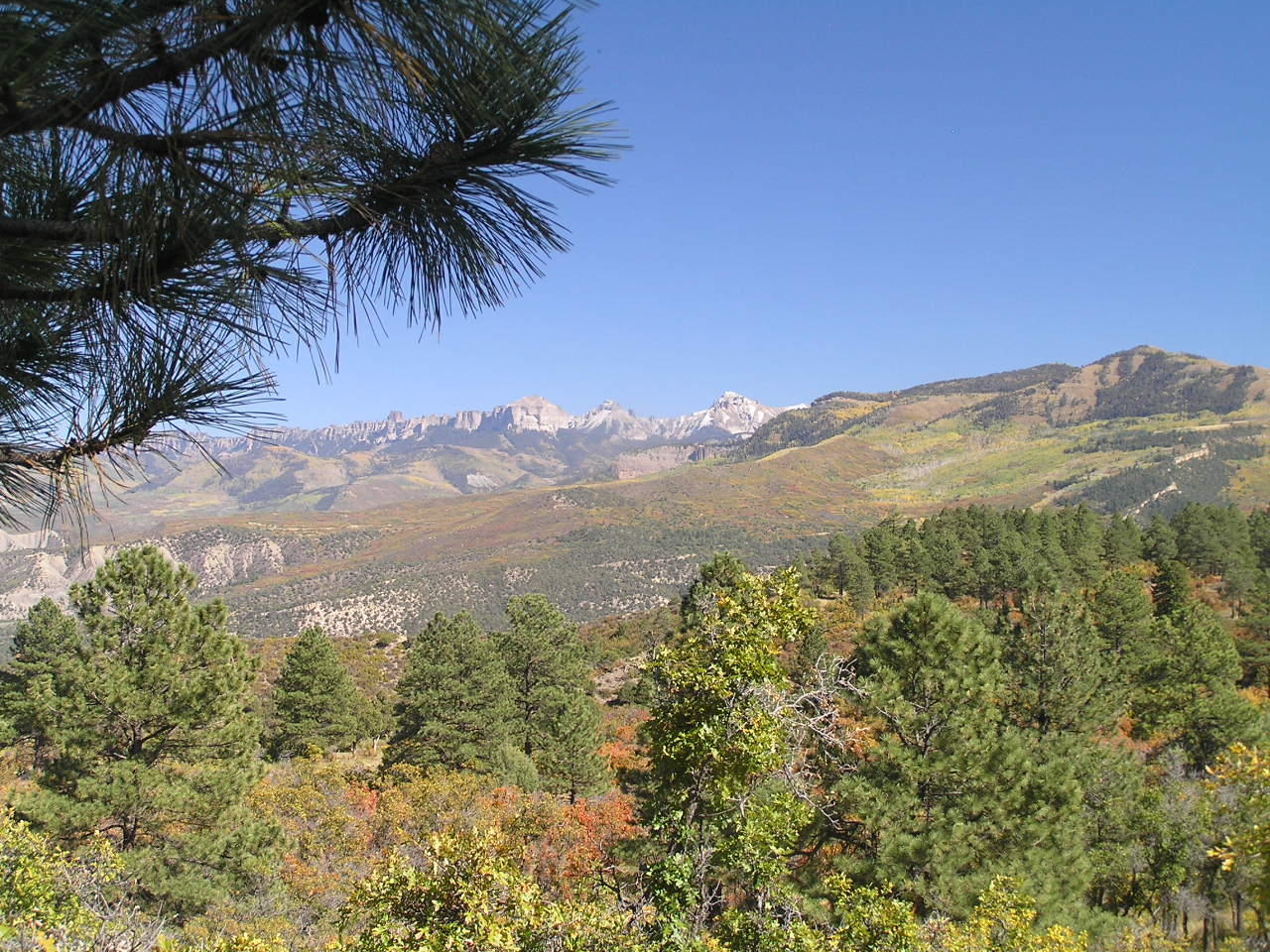 Tbd High Noon Road Ridgway, CO 81432 - Photo 22 of 33 P1010327