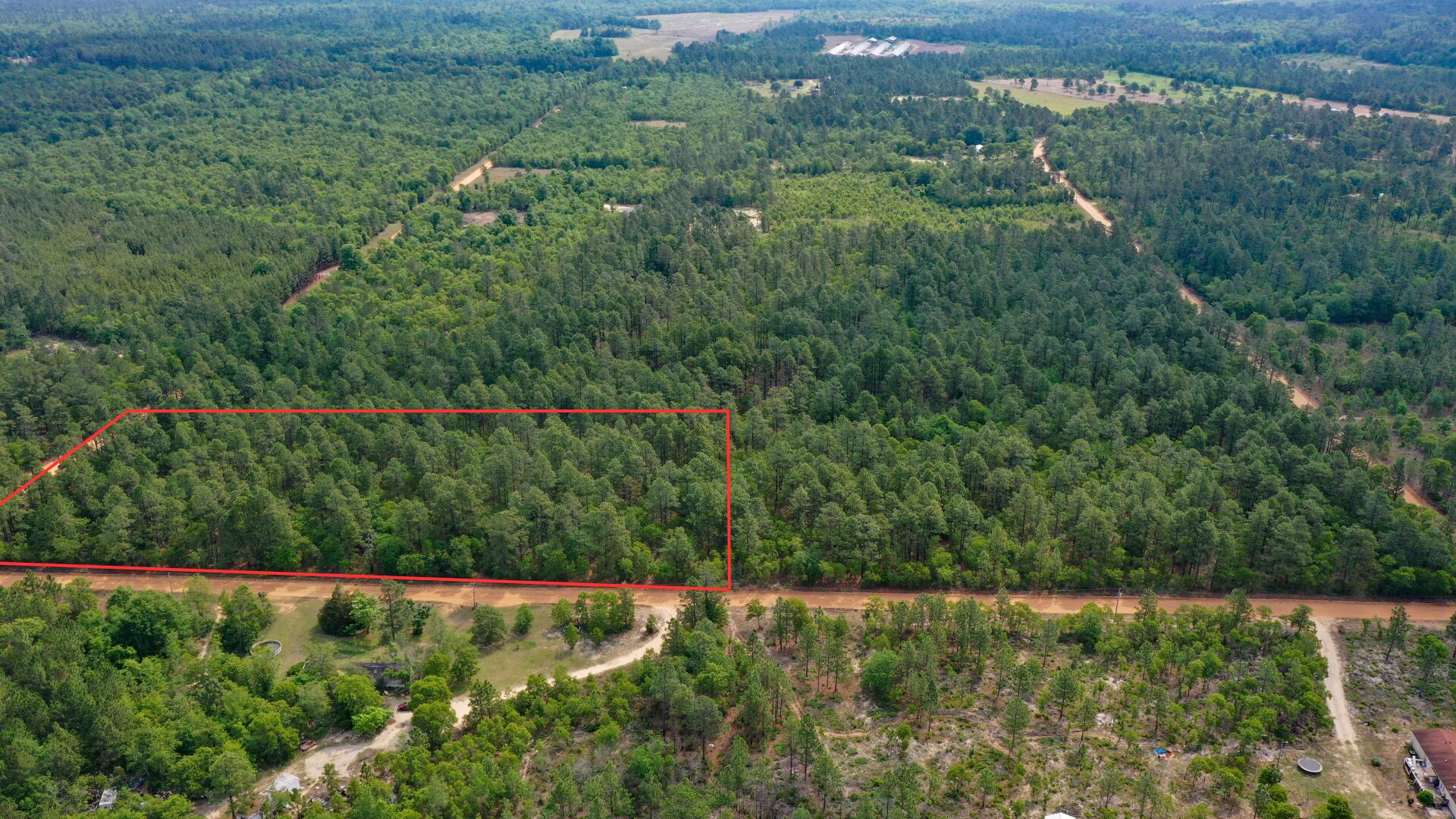 0 Webbs Pond Road Williston, SC 29853 - Photo 7 of 9