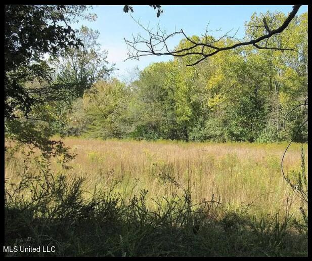 500 Henderson Road Batesville, MS 38606 - Photo 3 of 31 Screen Shot 10-27-21 at 02.52 PM