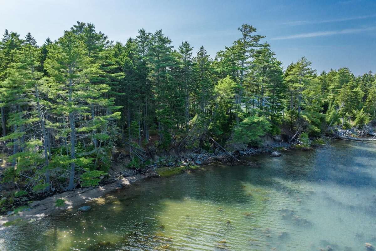 Lot 20 Paul Bunyan Road Corea, ME 04624 - Photo 8 of 12 19-Paul Bunyan Road Land LoRes-DTP