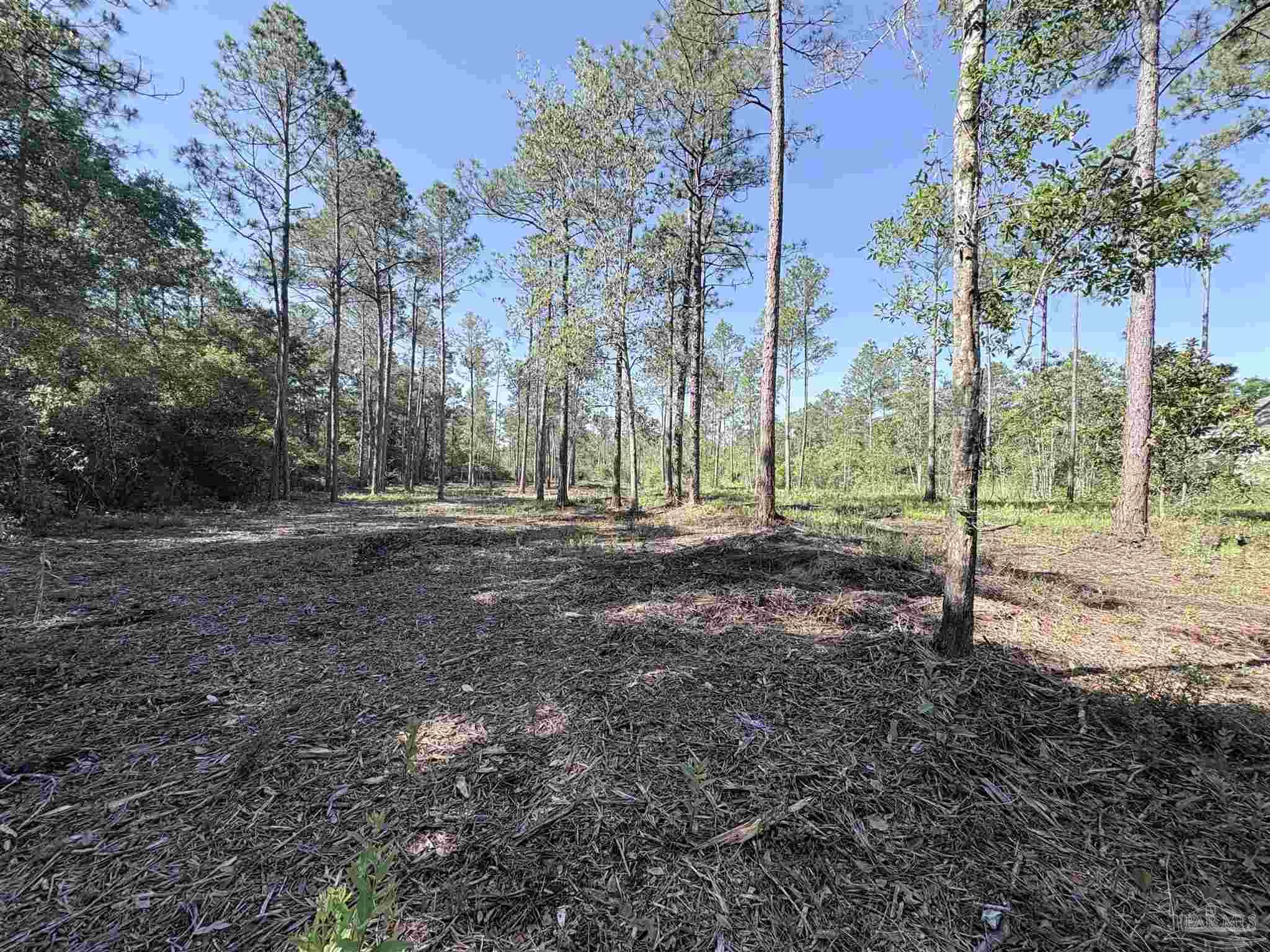Del Monte Street Milton, FL 32583 - Photo 6 of 18