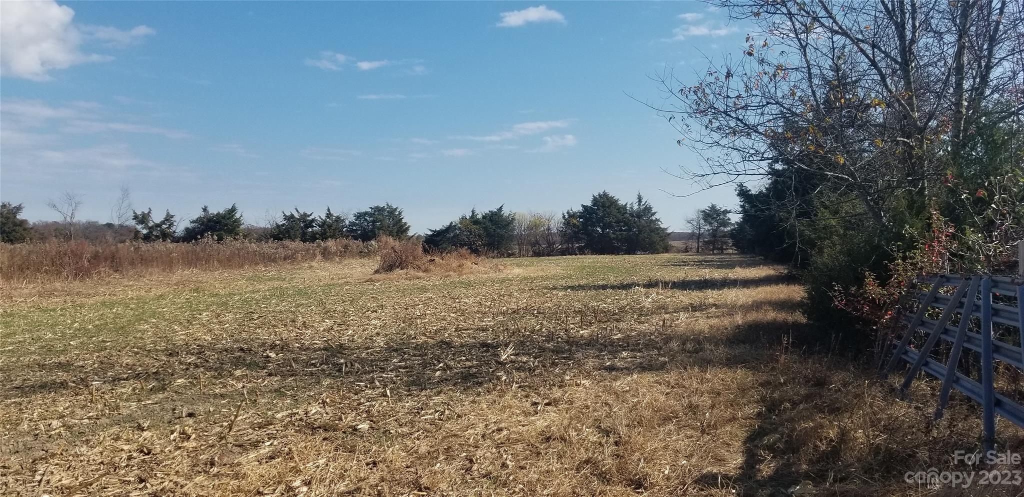 0 Jug Broome Road Monroe, NC 28112 - Photo 2 of 2 a view of dirt yard with a large tree