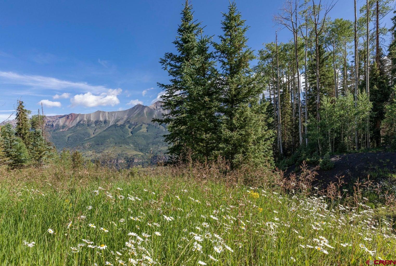 Tbd Lot 333 Benchmark Drive Telluride, CO 81435 - Photo 16 of 22 a view of a yard with a tree