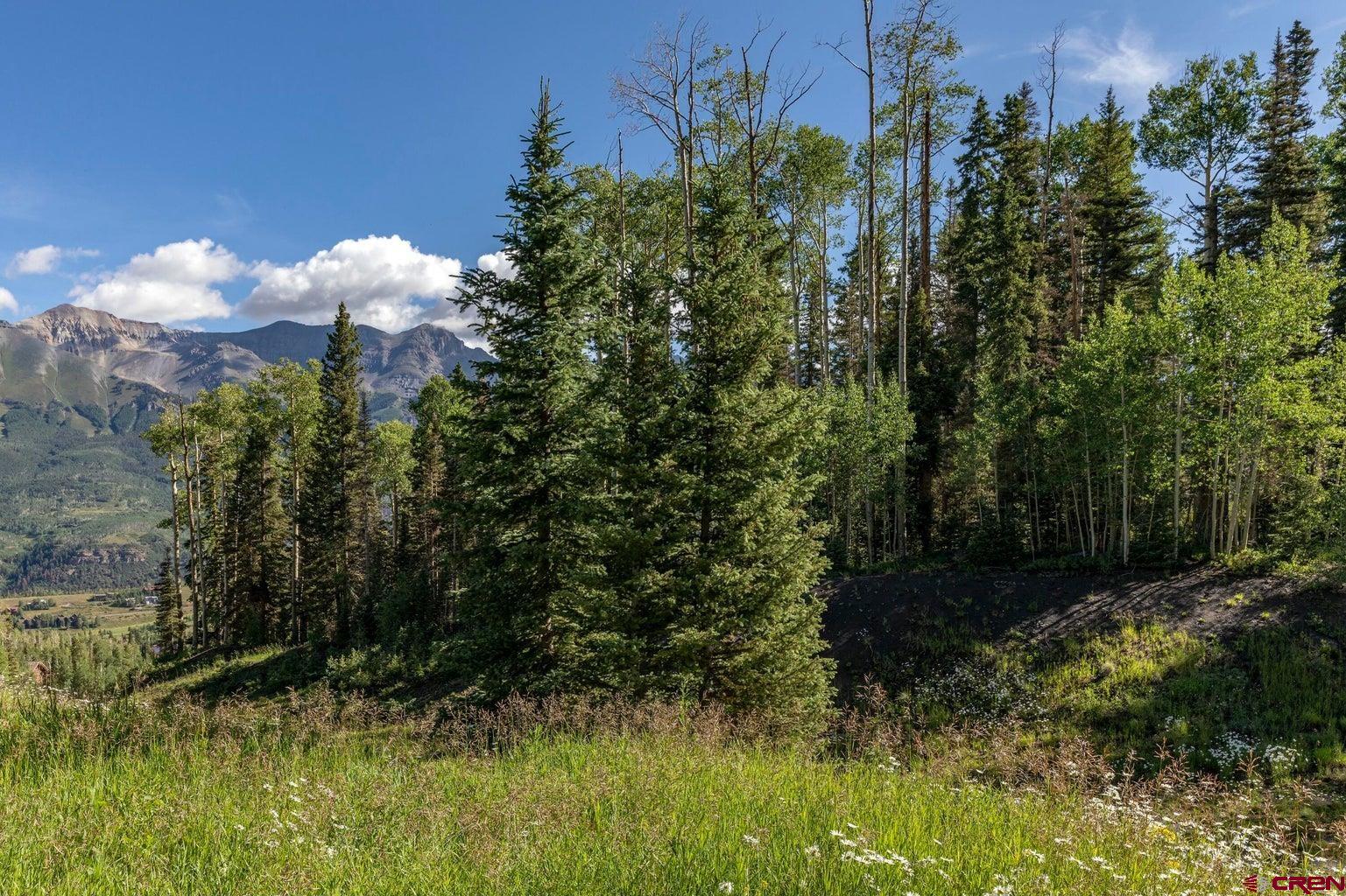 Tbd Lot 333 Benchmark Drive Telluride, CO 81435 - Photo 17 of 22