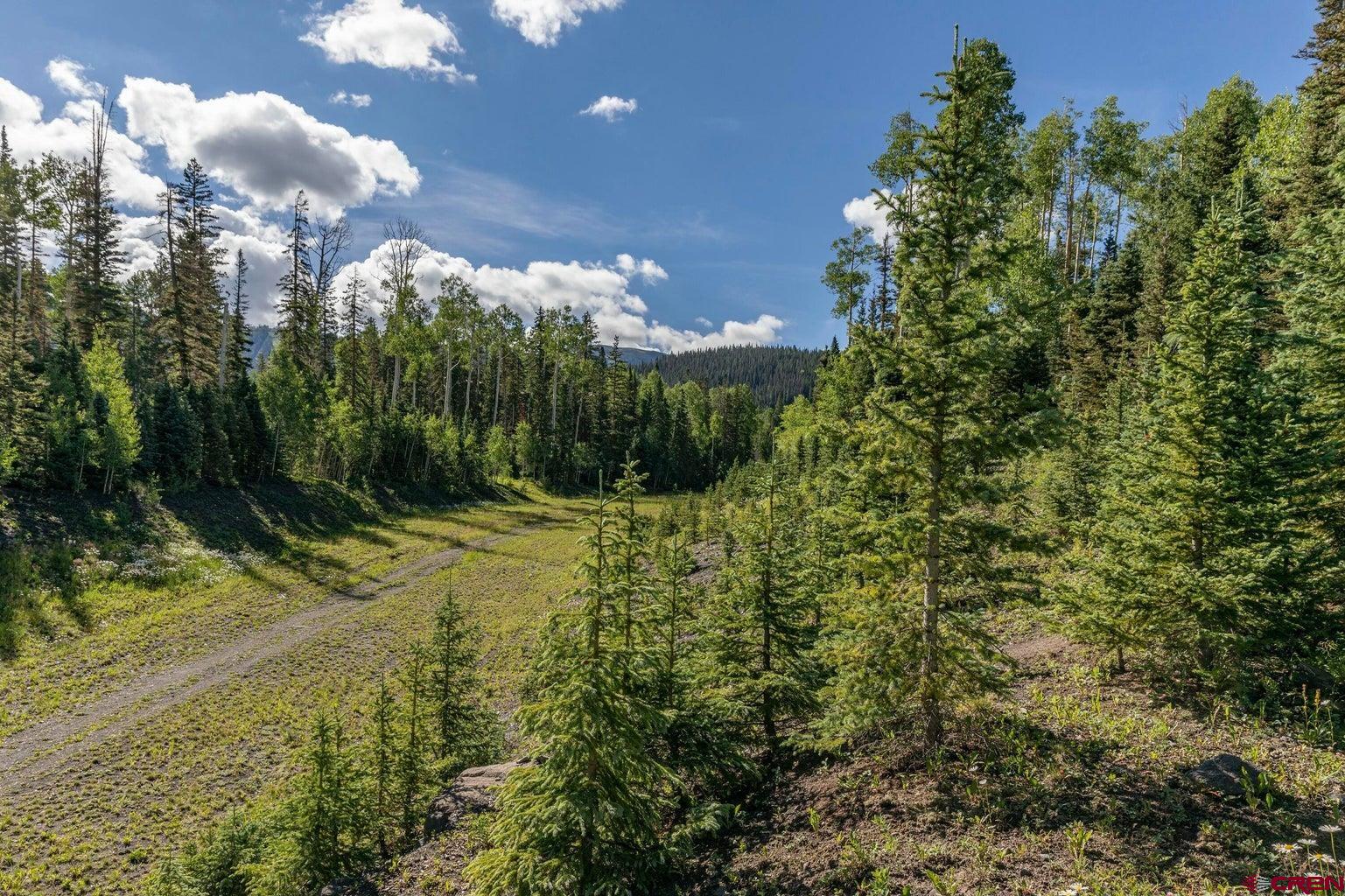 Tbd Lot 333 Benchmark Drive Telluride, CO 81435 - Photo 18 of 22