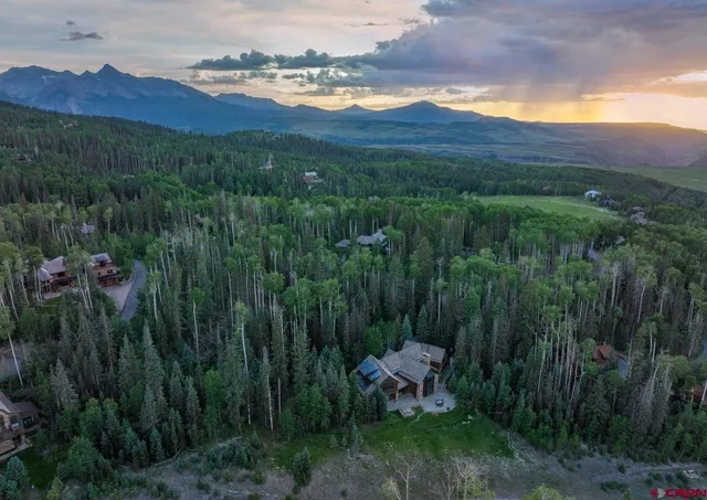 a view of a forest with a lush green forest
